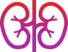 Kidneys icon