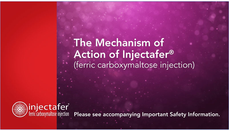 Video Thumbnail: The Mechanism of Action of Injectafer® (ferric carboxymaltose injection)