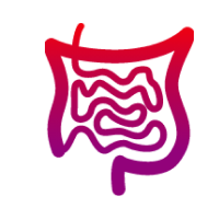 Gastrointestinal icon