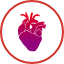 Heart icon